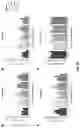Fig. 21 - BIFUNCTIONAL MOLECULES WITH IL-7 ACTIVITY