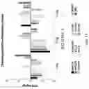 Fig. 103 - Compositions, formulations and interleukin production and purification