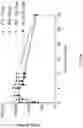 Fig. 122 - Compositions, formulations and interleukin production and purification