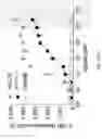 Fig. 157 - Compositions, formulations and interleukin production and purification