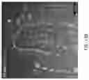 Fig. 167 - Compositions, formulations and interleukin production and purification