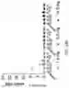 Fig. 178 - Compositions, formulations and interleukin production and purification