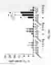 Fig. 179 - Compositions, formulations and interleukin production and purification