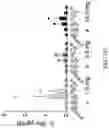 Fig. 180 - Compositions, formulations and interleukin production and purification