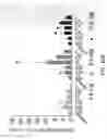 Fig. 181 - Compositions, formulations and interleukin production and purification