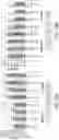 Fig. 29 - Compositions, formulations and interleukin production and purification