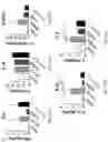 Fig. 55 - Compositions, formulations and interleukin production and purification