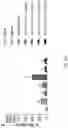 Fig. 80 - Compositions, formulations and interleukin production and purification