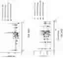 Fig. 84 - Compositions, formulations and interleukin production and purification