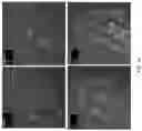 Fig. 87 - Compositions, formulations and interleukin production and purification