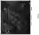 Fig. 88 - Compositions, formulations and interleukin production and purification