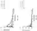 Fig. 96 - Compositions, formulations and interleukin production and purification