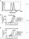 Fig. 04 - Immune tolerant elastin-like peptide tetramer guided nanoparticles and methods of use
