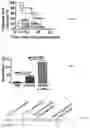 Fig. 07 - Immune tolerant elastin-like peptide tetramer guided nanoparticles and methods of use