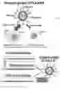 Fig. 11 - Immune tolerant elastin-like peptide tetramer guided nanoparticles and methods of use