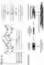 Fig. 02 - Method for the design of fibrillar collagen-mimetic peptide self-assemblies