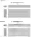 Fig. 07 - Method for the design of fibrillar collagen-mimetic peptide self-assemblies