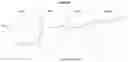 Fig. 09 - Method for the design of fibrillar collagen-mimetic peptide self-assemblies