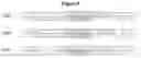 Fig. 12 - Method for the design of fibrillar collagen-mimetic peptide self-assemblies