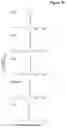Fig. 15 - Method for the design of fibrillar collagen-mimetic peptide self-assemblies