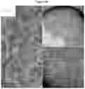 Fig. 17 - Method for the design of fibrillar collagen-mimetic peptide self-assemblies