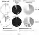 Fig. 08 - Compositions and methods for identifying and sorting antigen-specific B cells