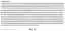 Fig. 13 - DNA Antibody Constructs And Method Of Using Same