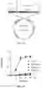 Fig. 20 - DNA Antibody Constructs And Method Of Using Same