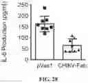 Fig. 23 - DNA Antibody Constructs And Method Of Using Same