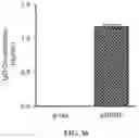 Fig. 28 - DNA Antibody Constructs And Method Of Using Same