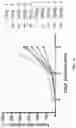 Fig. 33 - DNA Antibody Constructs And Method Of Using Same