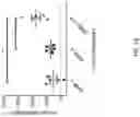 Fig. 67 - DNA Antibody Constructs And Method Of Using Same