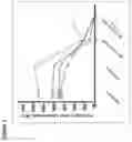 Fig. 23 - SERUM ALBUMIN-BINDING IMMUNOGLOBULIN VARIABLE DOMAINS