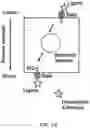 Fig. 03 - BIOSYNTHETIC MATERIALS AND METHODS FOR MULTIDIRECTIONAL BIOTRANSPORTATION