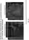 Fig. 08 - BIOSYNTHETIC MATERIALS AND METHODS FOR MULTIDIRECTIONAL BIOTRANSPORTATION