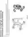 Fig. 11 - BIOSYNTHETIC MATERIALS AND METHODS FOR MULTIDIRECTIONAL BIOTRANSPORTATION