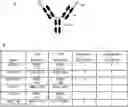 Fig. 01 - MODULATION OF WNT SIGNALLING IN OCULAR DISORDERS