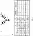 Fig. 02 - MODULATION OF WNT SIGNALLING IN OCULAR DISORDERS