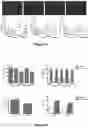 Fig. 04 - METHODS FOR REDUCING POST-OPERATIVE COGNITIVE DYSFUNCTION (POCD)