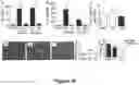 Fig. 14 - METHODS FOR REDUCING POST-OPERATIVE COGNITIVE DYSFUNCTION (POCD)