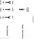 Fig. 04 - ANTIBODIES SPECIFIC TO HUMAN NECTIN-2