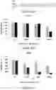 Fig. 17 - ANTIBODIES SPECIFIC TO HUMAN NECTIN-2