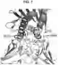 Fig. 08 - CD1a antibodies and uses thereof