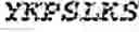 Fig. 101 - HUMAN CD30 LIGAND ANTIGEN BINDING PROTEINS