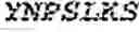 Fig. 95 - HUMAN CD30 LIGAND ANTIGEN BINDING PROTEINS