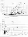 Fig. 20 - ANTIGEN-BINDING MOLECULE COMPRISING ALTERED ANTIBODY VARIABLE REGION