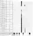 Fig. 48 - ANTIGEN-BINDING MOLECULE COMPRISING ALTERED ANTIBODY VARIABLE REGION