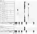 Fig. 50 - ANTIGEN-BINDING MOLECULE COMPRISING ALTERED ANTIBODY VARIABLE REGION