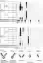 Fig. 52 - ANTIGEN-BINDING MOLECULE COMPRISING ALTERED ANTIBODY VARIABLE REGION