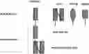 Fig. 01 - TRISPECIFIC PROTEINS AND METHODS OF USE